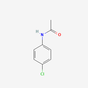 4-kloroacetanilid 丨 CAS 539-03-7