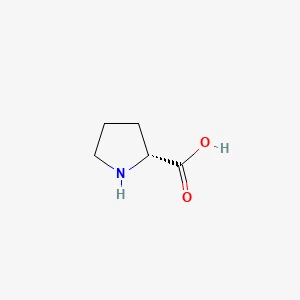 D-prolin 丨 Cas 344-25-2
